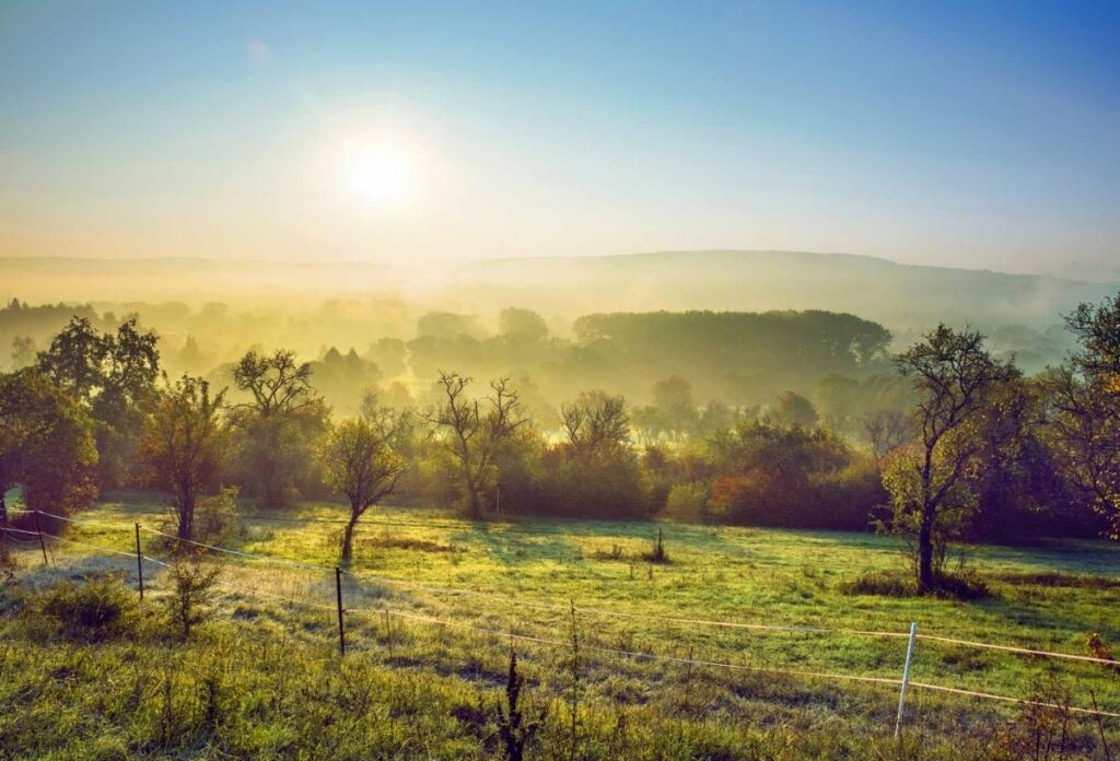 Morgenlicht über einer weiten Landschaft mit Bäumen und Nebel – Symbol für Klarheit und innere Ruhe